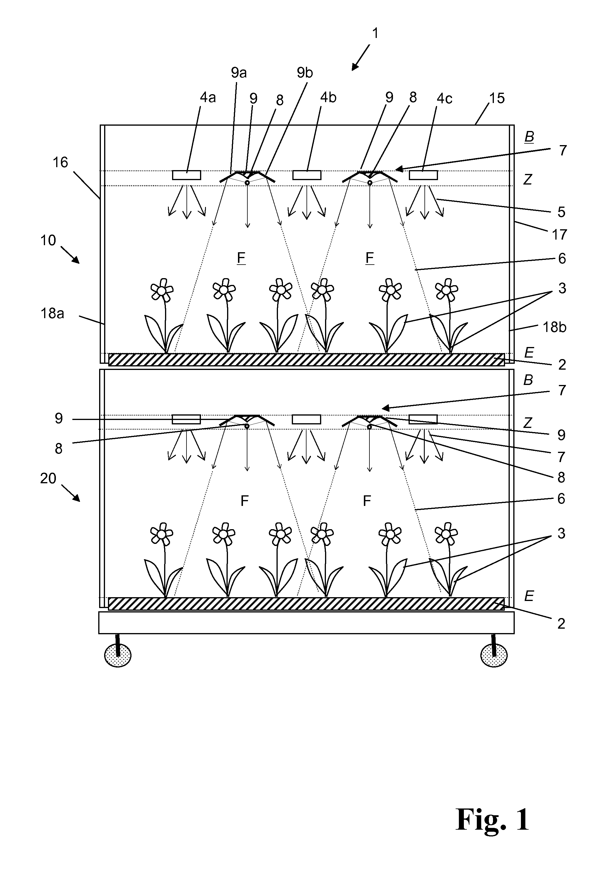 Irradiation device for irradiating plants
