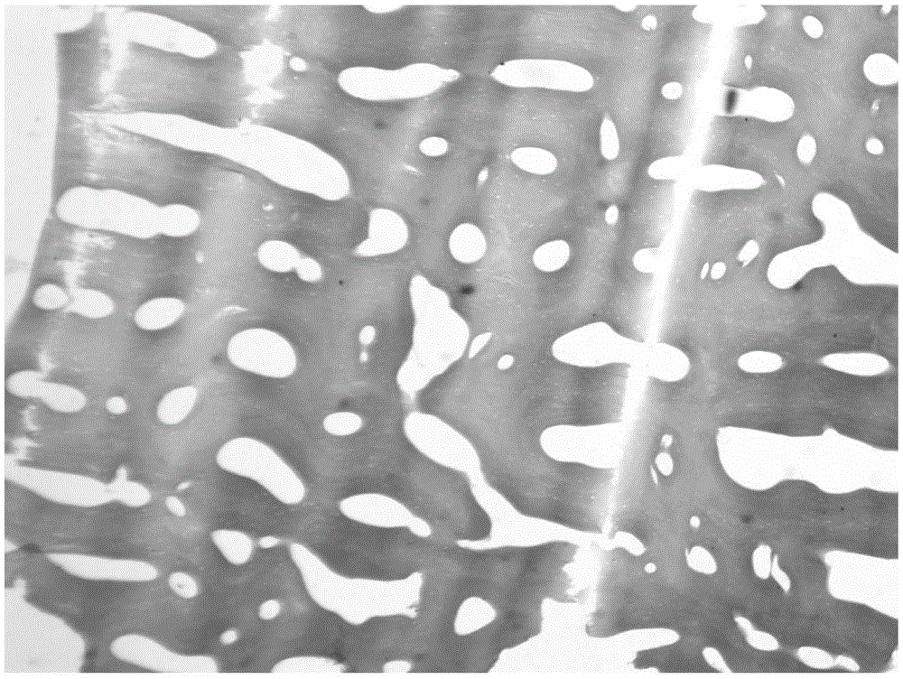 A kind of dense bone matrix and its preparation method