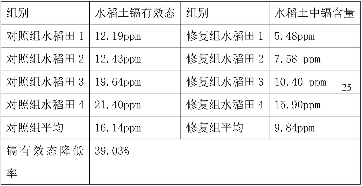 Technology for restoring heavy-metal polluted seedling-throwing planting rice field by using root system micro geochemical barrier technology