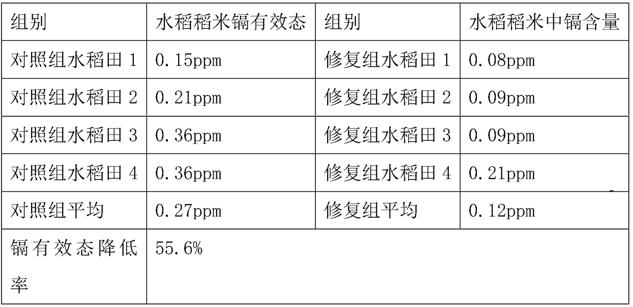 Technology for restoring heavy-metal polluted seedling-throwing planting rice field by using root system micro geochemical barrier technology