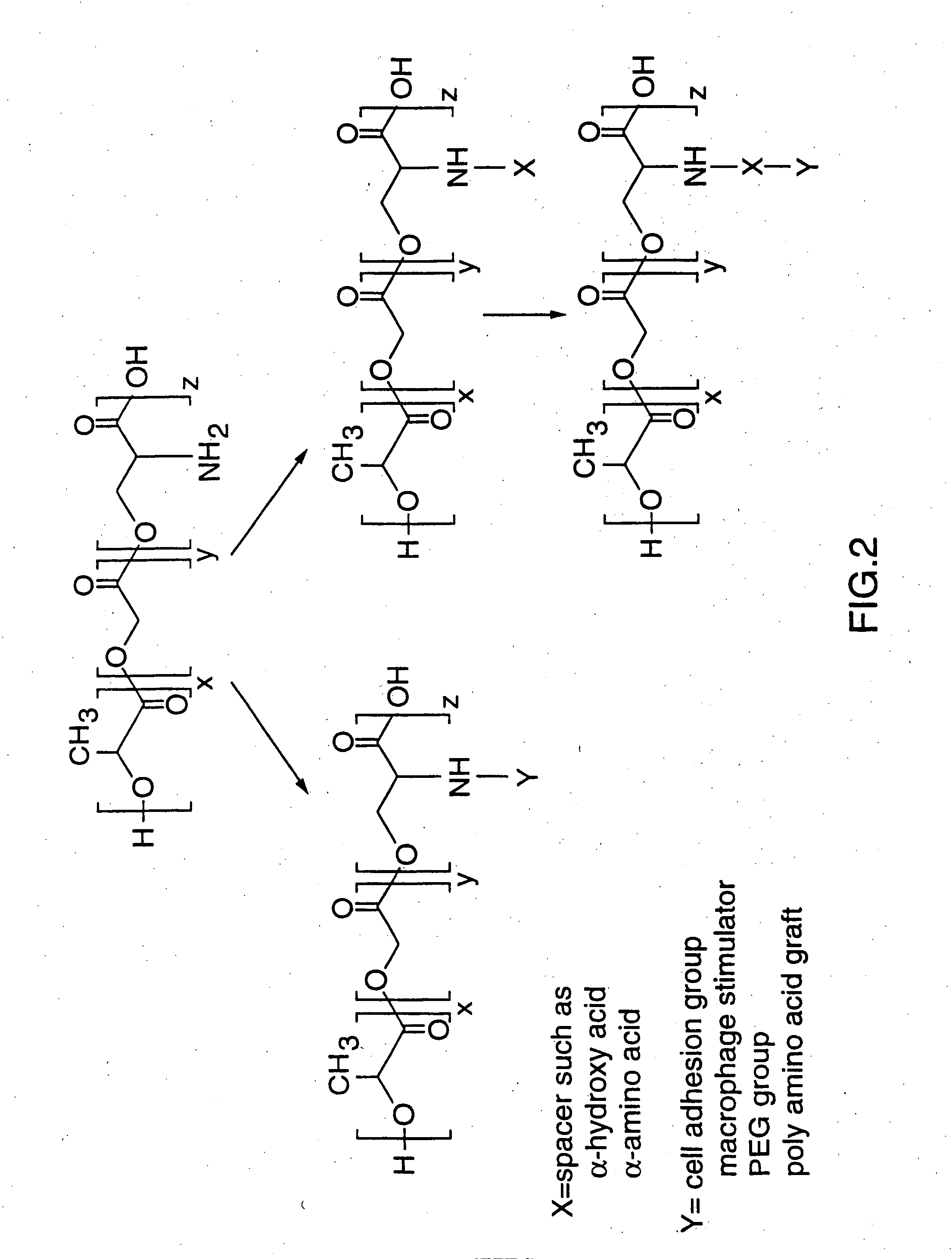 Biodegradable targetable microparticle delivery system
