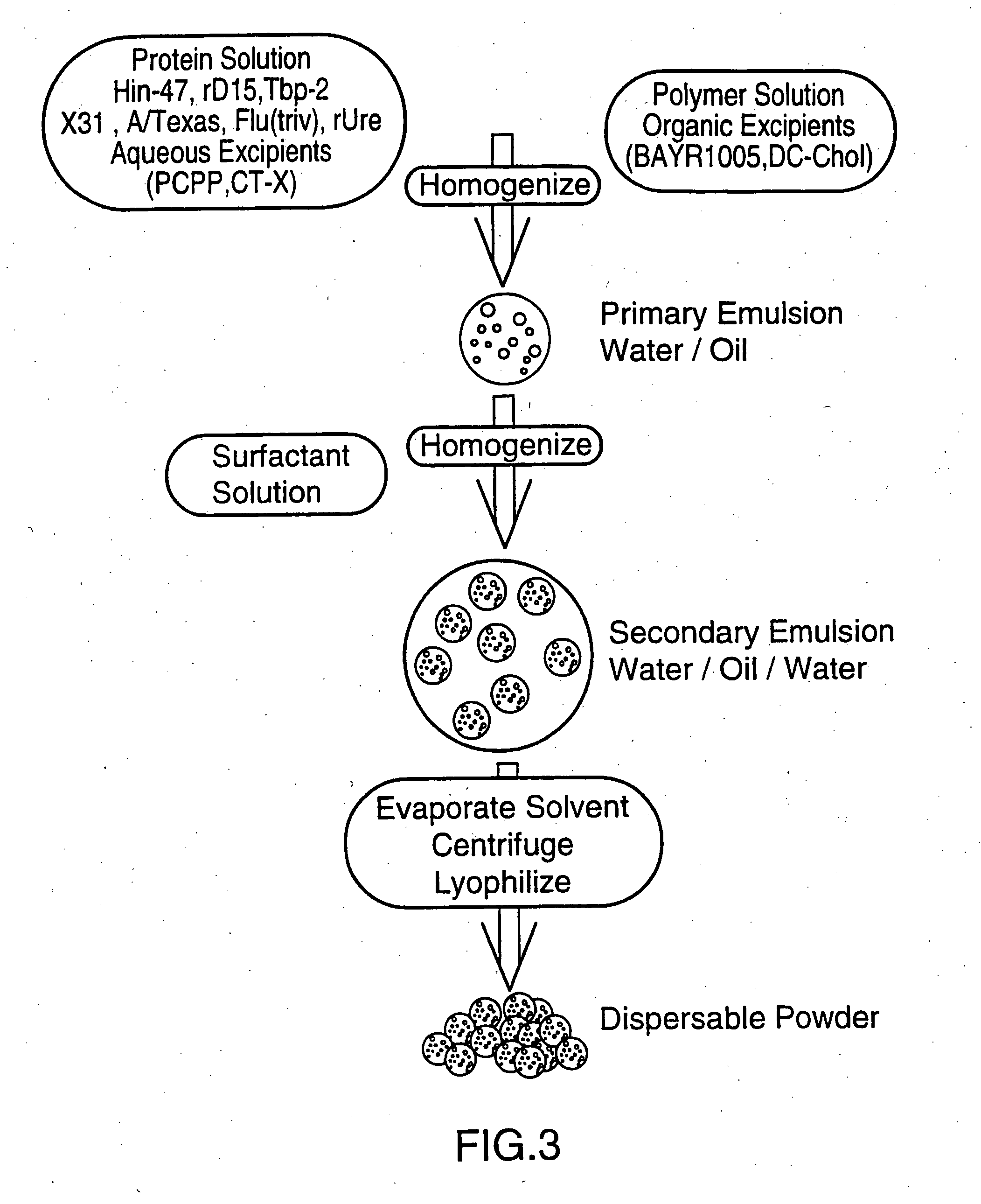Biodegradable targetable microparticle delivery system