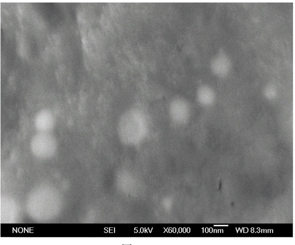 Selenium-rich chitosan nutritional microbial fertilizer and preparation method thereof