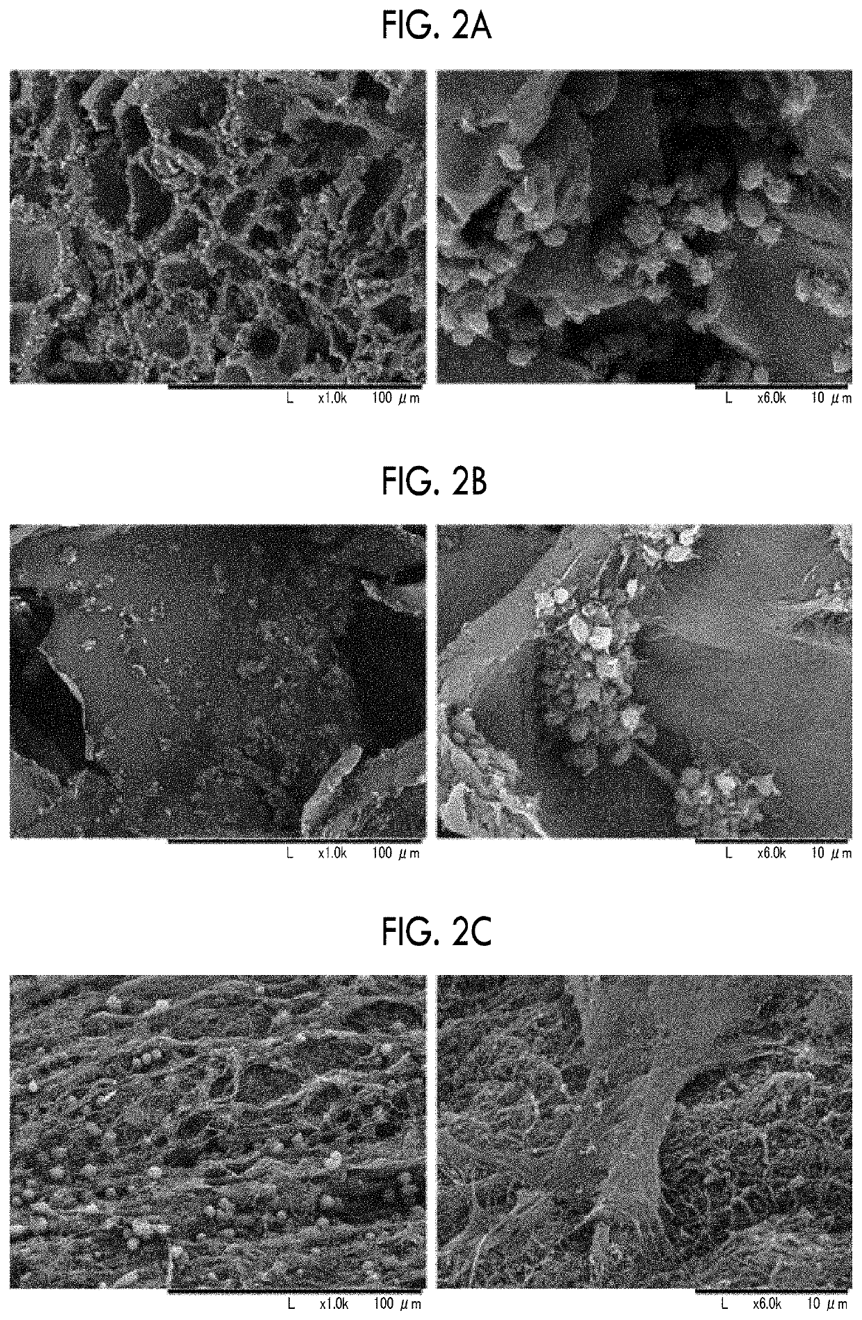 Fibrin composition, substrate for regenerative medicine, method for manufacturing fibrin composition, and kit