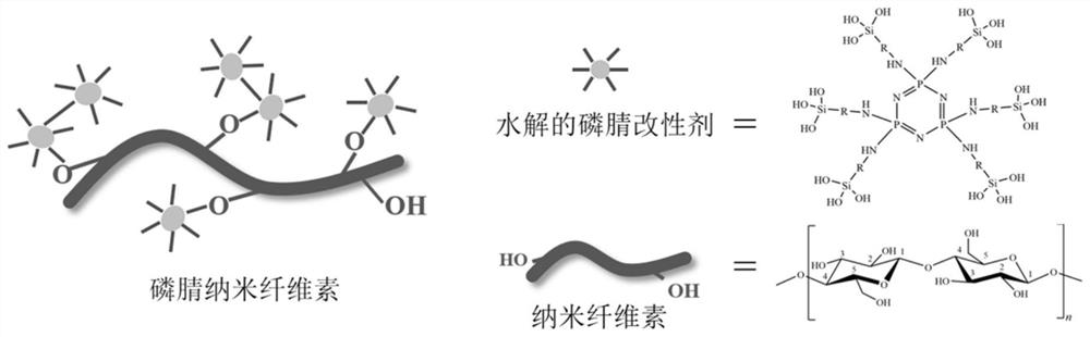 Flame-retardant nano cellulose containing phosphazene group, preparation method and flame-retardant polylactic acid of flame-retardant nano cellulose