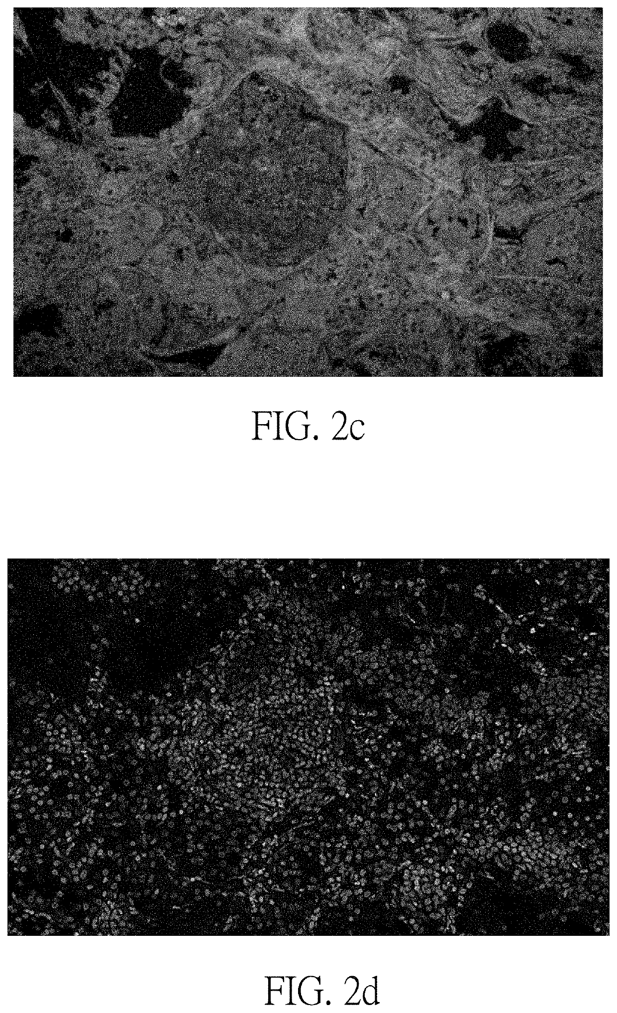 Pseudo h&e image producing method and optical system using same