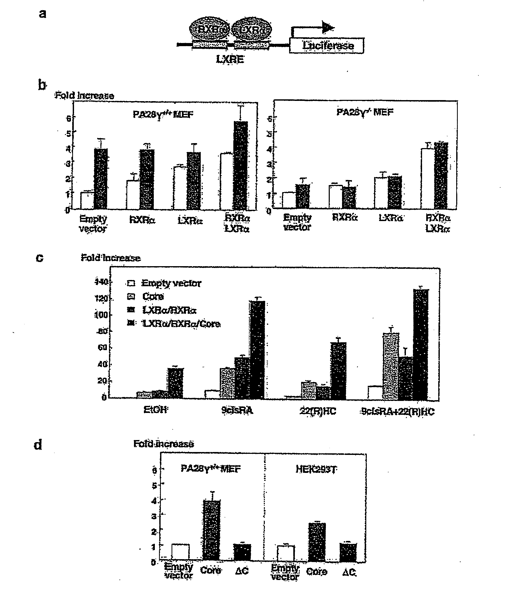 Screening method for prophylactic and/or therapeutic agent for disease accompanied by hepatitis c