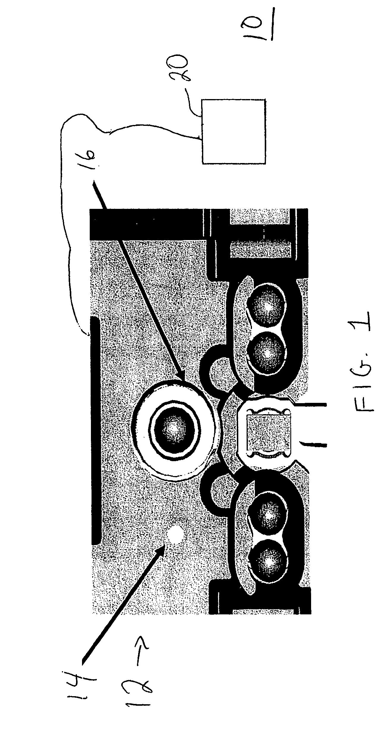 System and method for sensing ambient light in an optical code reader