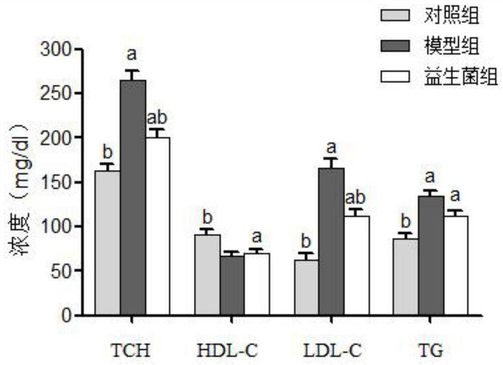 A strain of Lactobacillus plantarum that improves fat-prone physique and weight of offspring and its application