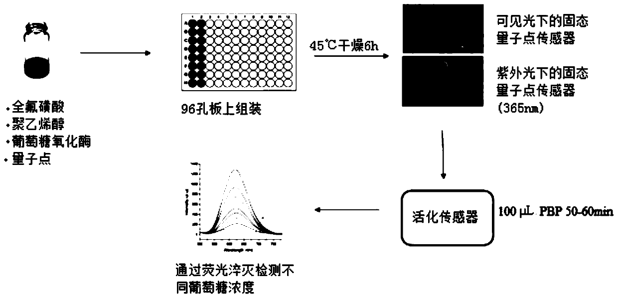 Solid-state quantum dot sensor as well as preparation method and application thereof