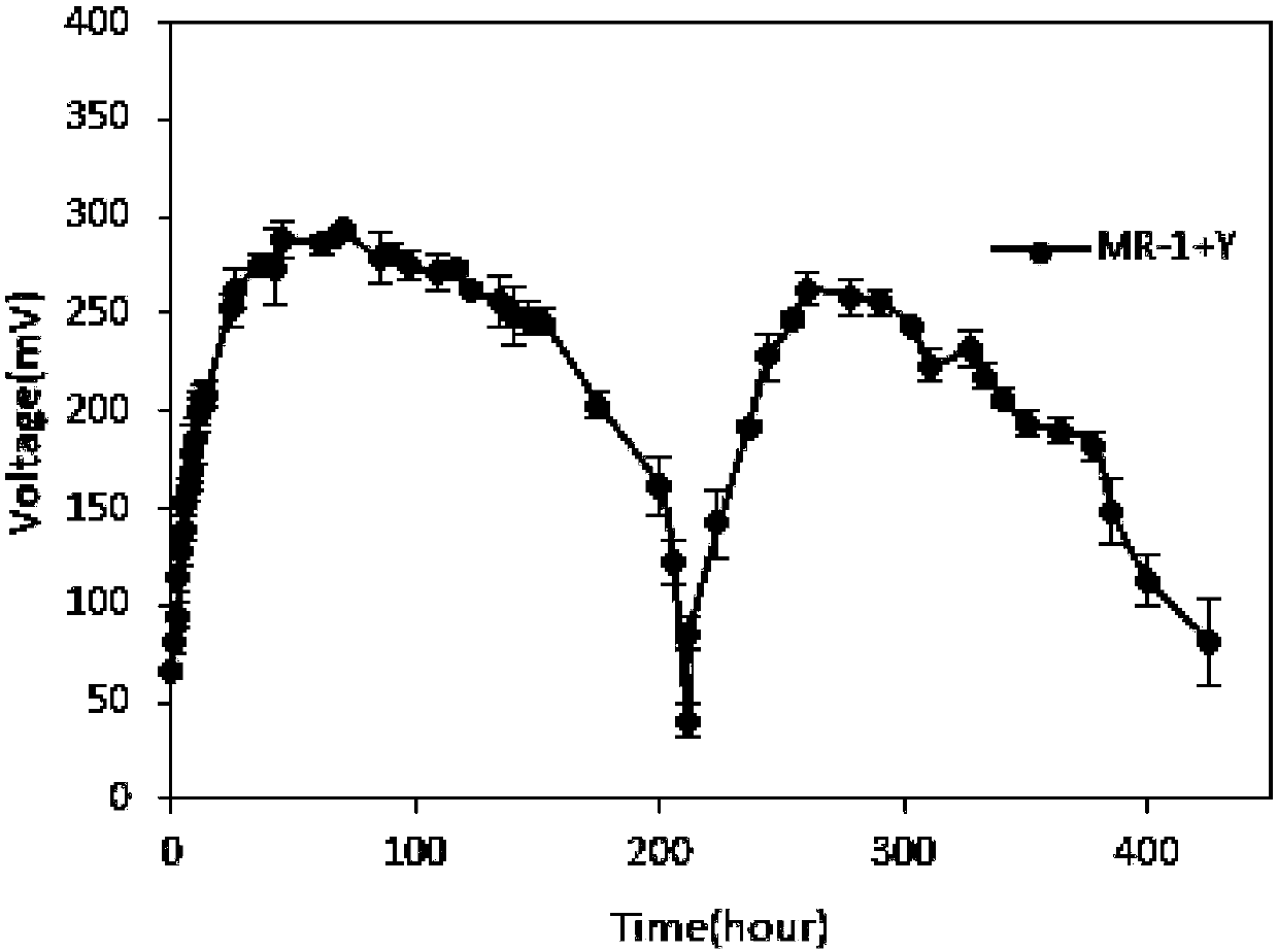 Recombinant yeast strain and microbial mixed bacteria electricity generation method