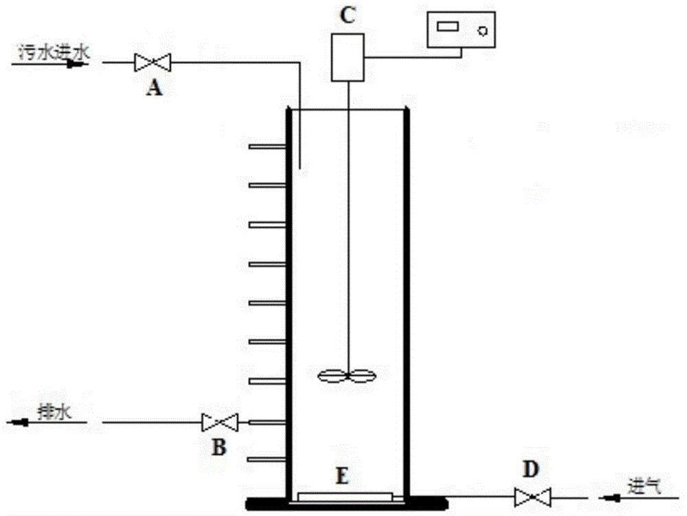 A method for cultivating nitrosated granular sludge for treating urban domestic sewage at room temperature