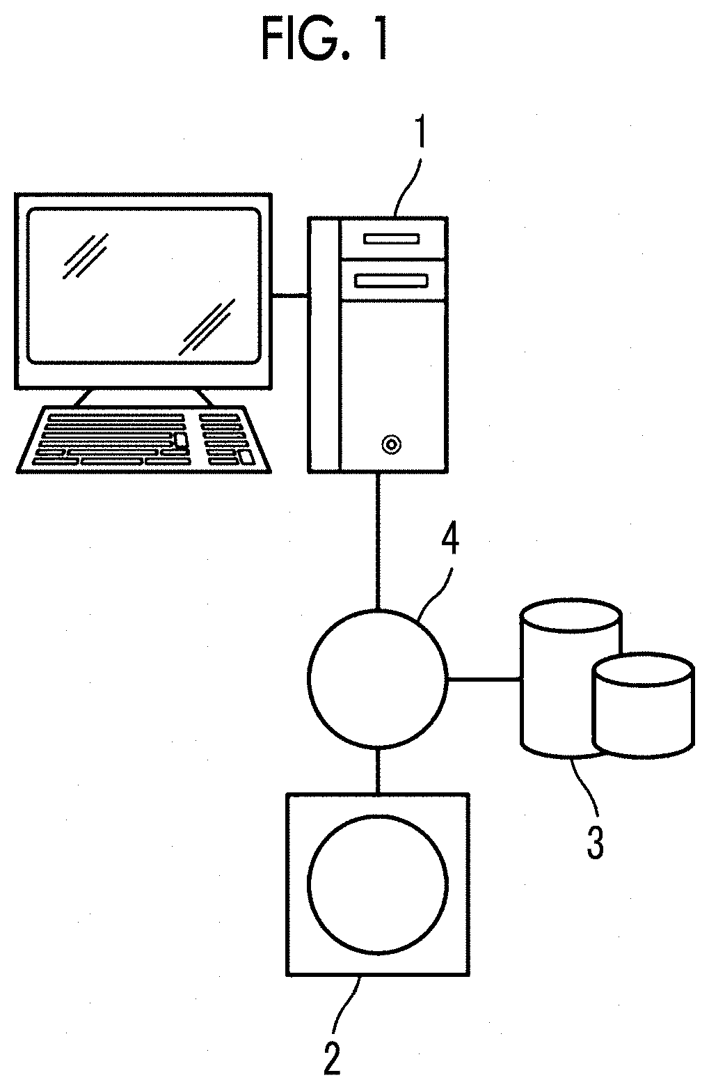 Brain image normalization apparatus, brain image normalization method, and brain image normalization program