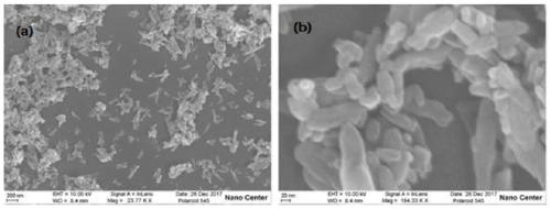 Amino-carbonate hydroxyapatite composite material, and preparation method and application thereof