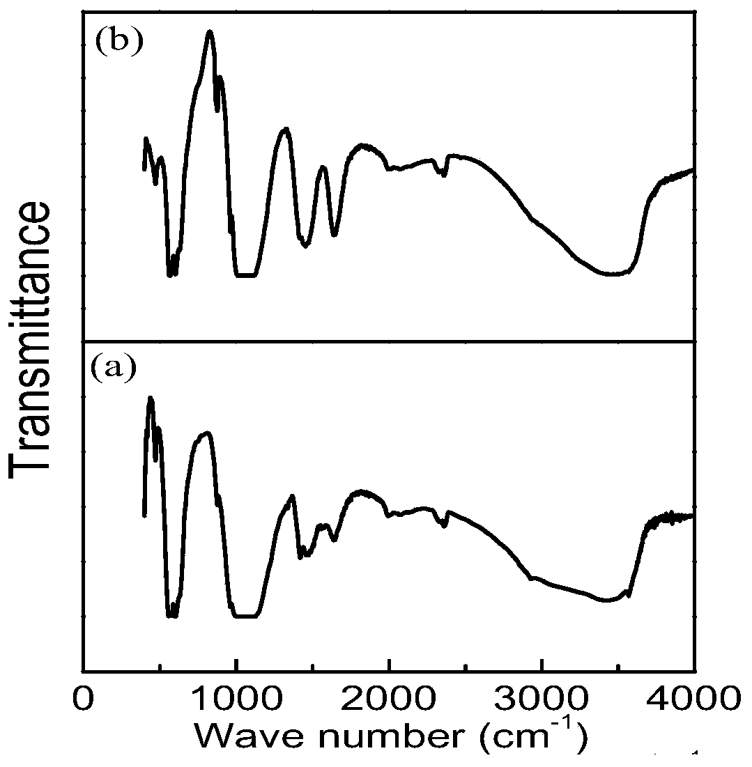 Amino-carbonate hydroxyapatite composite material, and preparation method and application thereof