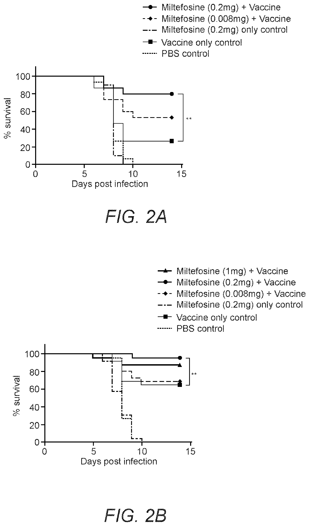 Compositions and methods for enhancing immune response to vaccination and improving vaccine production