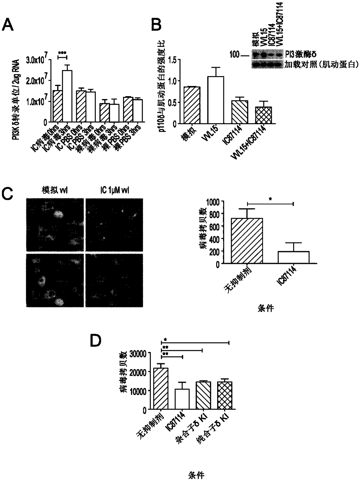 Inhibitors of pi3k p-delta 110 for use in delivery of viruses in the treatment of cancer