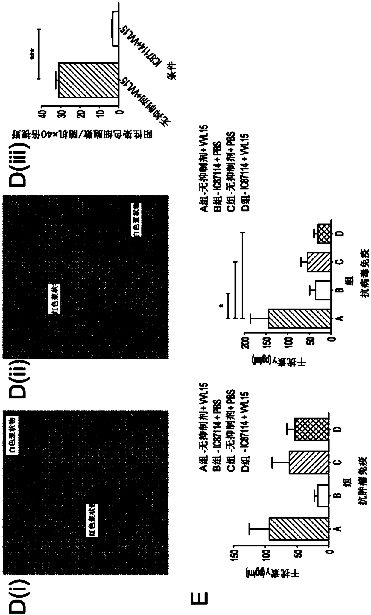 Inhibitors of pi3k p-delta 110 for use in delivery of viruses in the treatment of cancer