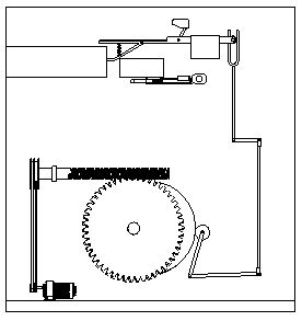 Turritella terebra tail removing device