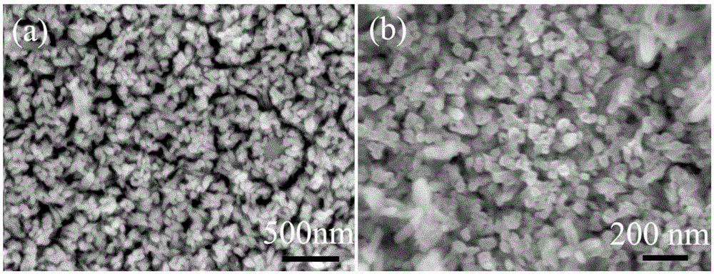 Hydrothermal method-based method for preparing alpha-Fe2O3 nanotube array