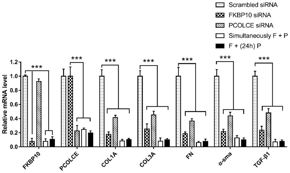 Composition and application of a drug action target