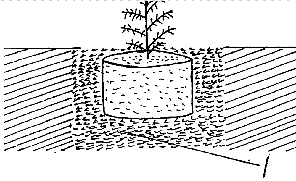 A kind of ecological control plant sowing method