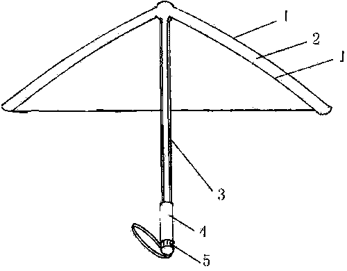 Inflatable umbrella