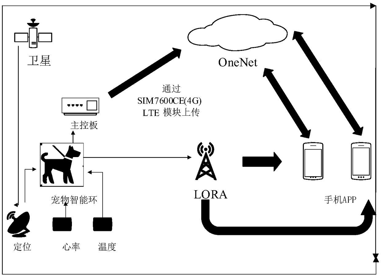 Smart pet ring, and pet monitoring system and monitoring method