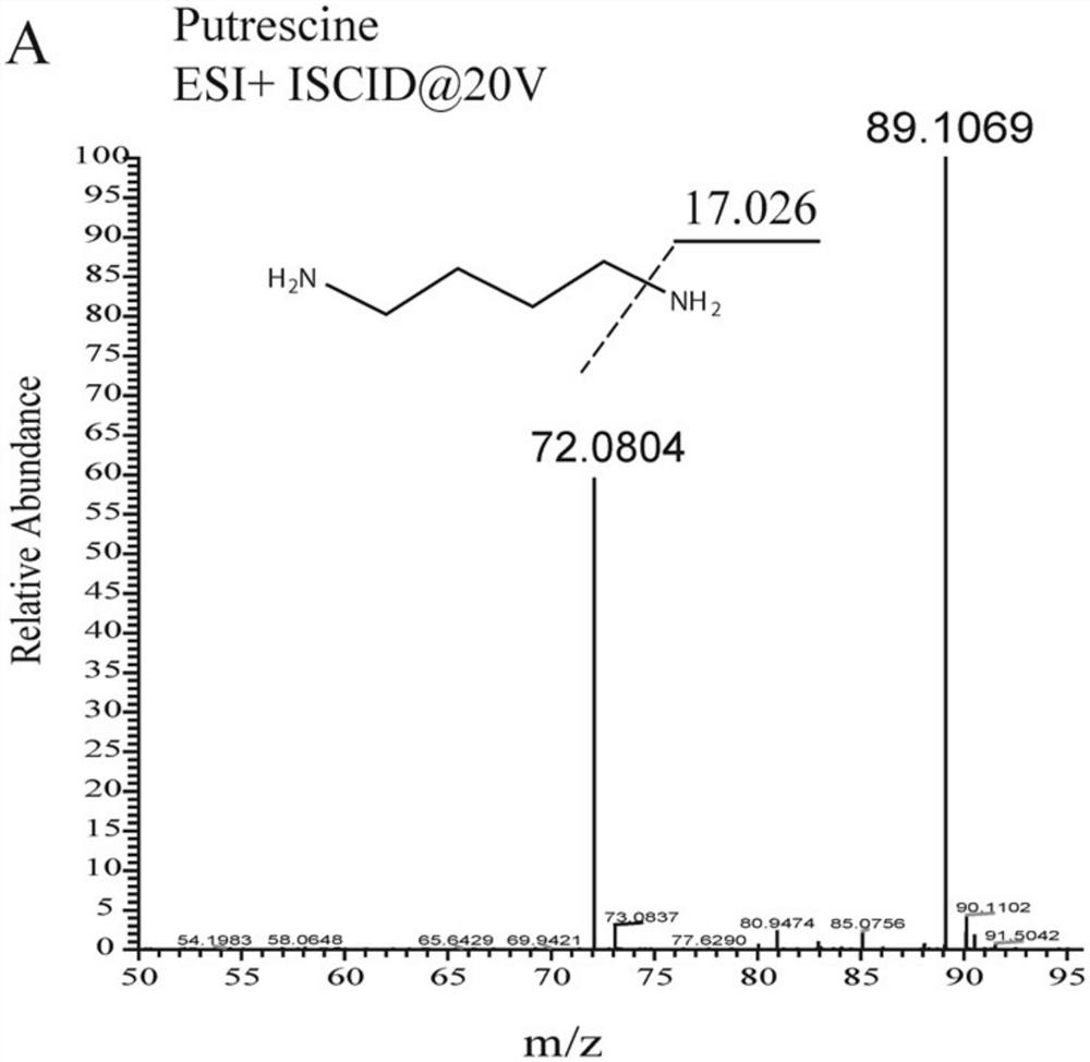 A Scale-up Metabolome Qualitative Method