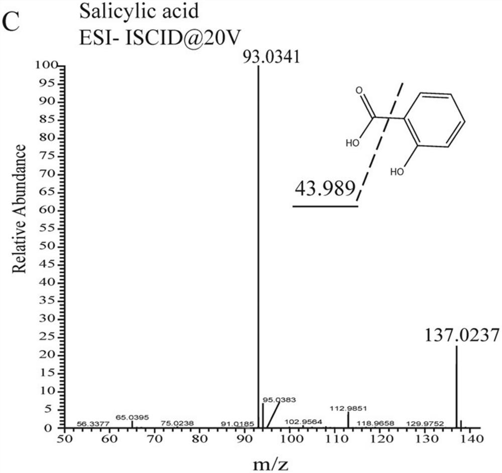 A Scale-up Metabolome Qualitative Method