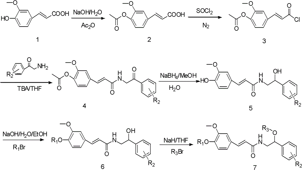 Ferulic acid phenethyl alcohol amine derivative and application thereof