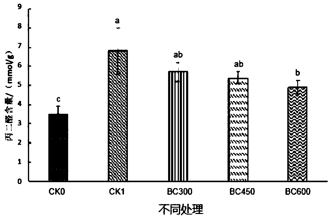 Bioactive preparation as well as preparation method and application thereof
