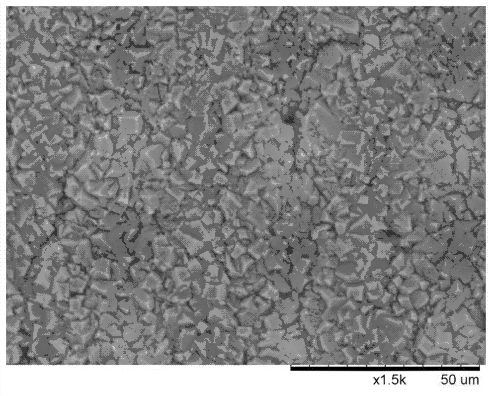 Method for electrodepositing Al protective plated layer on surface of NdFeB magnet by using ionic liquid