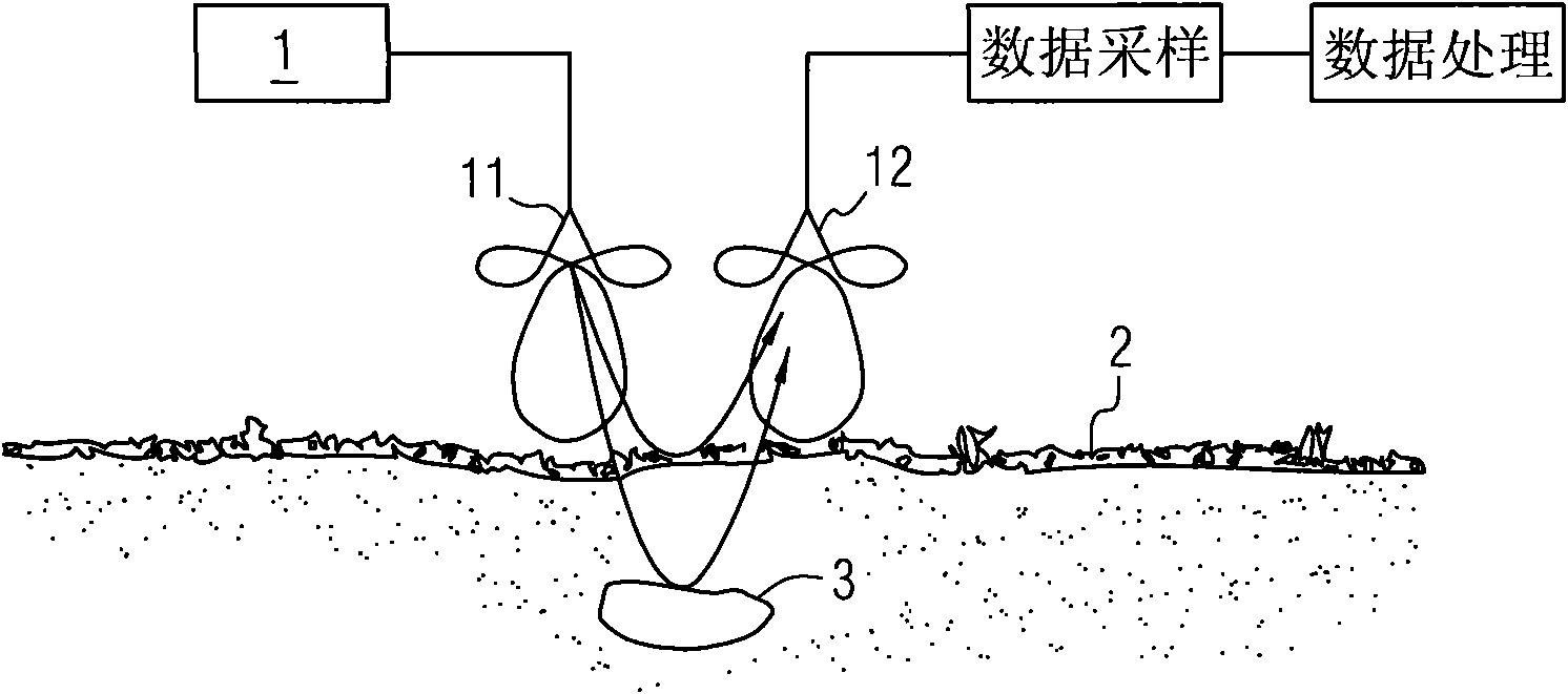 Method for measuring diameter and biomass of plant underground roots by using ground penetrating radar