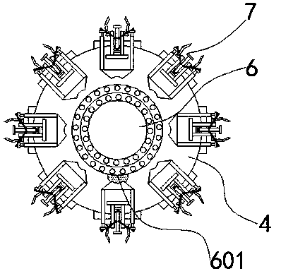 Hawthorn integrated kernel removal device