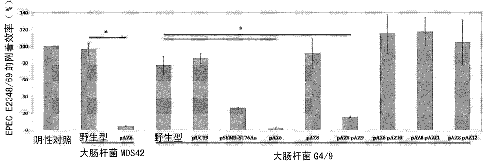 Bacterially formed microcin s, a new antimicrobial peptide, effective against pathogenic microorganisms, e.g. enterohemorrhagic escherichia coli (EHEC)