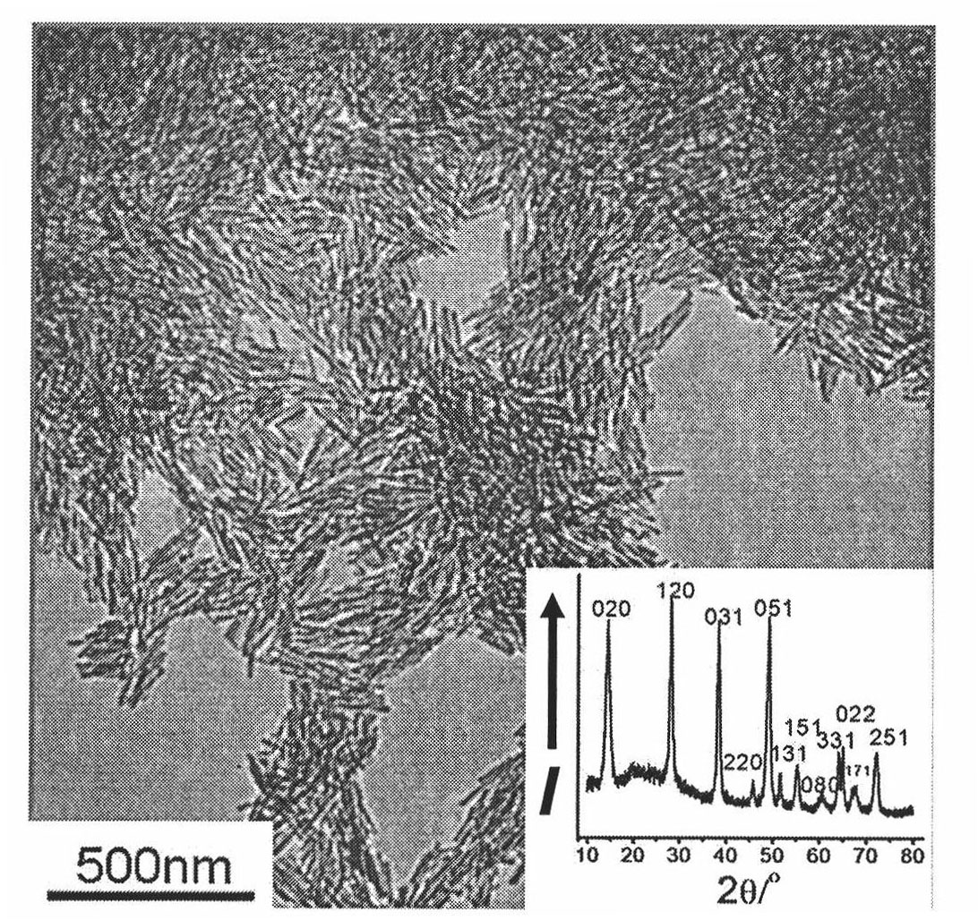Preparation method for gamma-alumina nanotube with prior exposure of (111) face