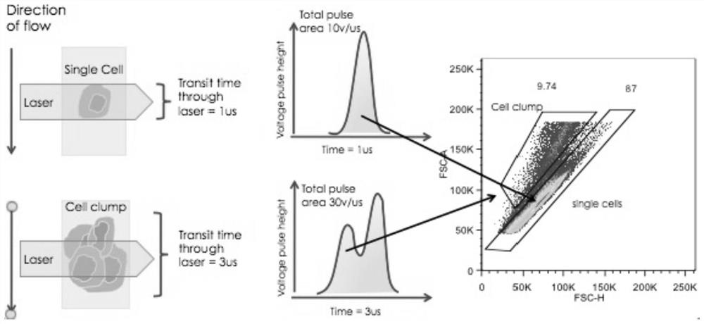 A method for effectively removing mononuclear cell interference in automatic analysis of lymphocyte subsets