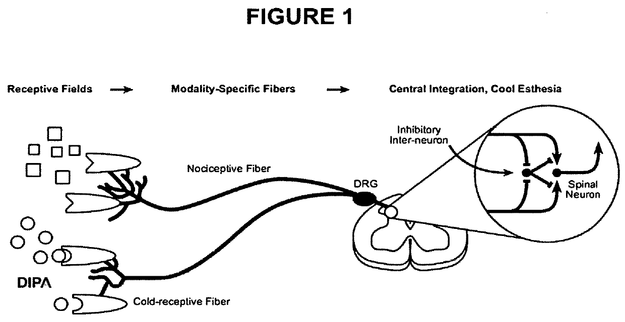 Di-Isopropyl-Phosphinoyl -Alkanes as topical agents for the treatment of sensory discomfort