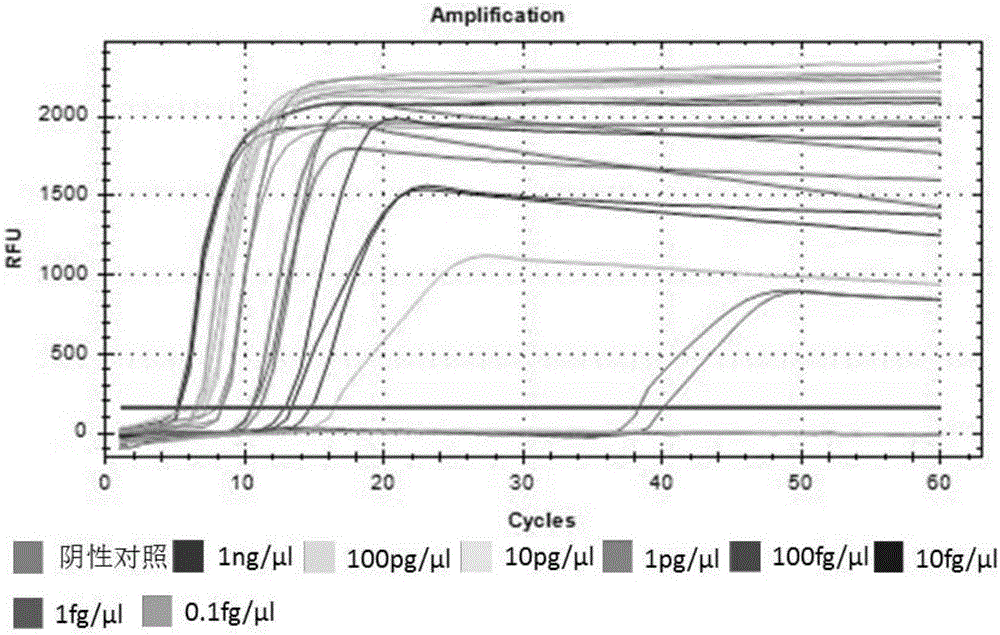 LAMP (loop-mediated isothermal amplification) kit for detecting acute hepatopancreatic necrosis disease pathogen