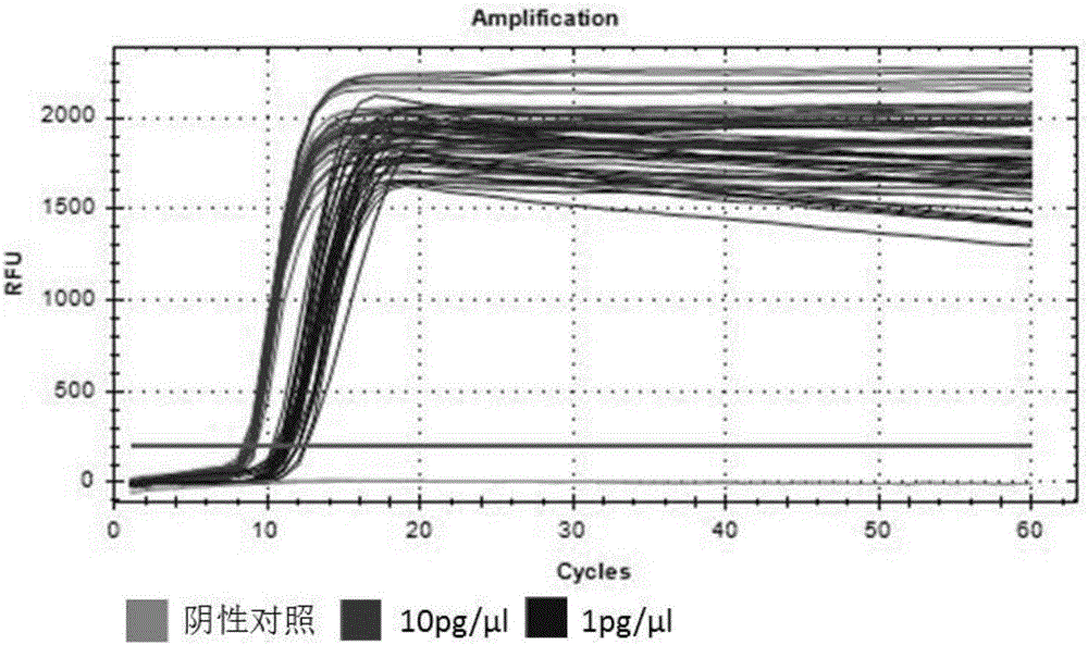 LAMP (loop-mediated isothermal amplification) kit for detecting acute hepatopancreatic necrosis disease pathogen