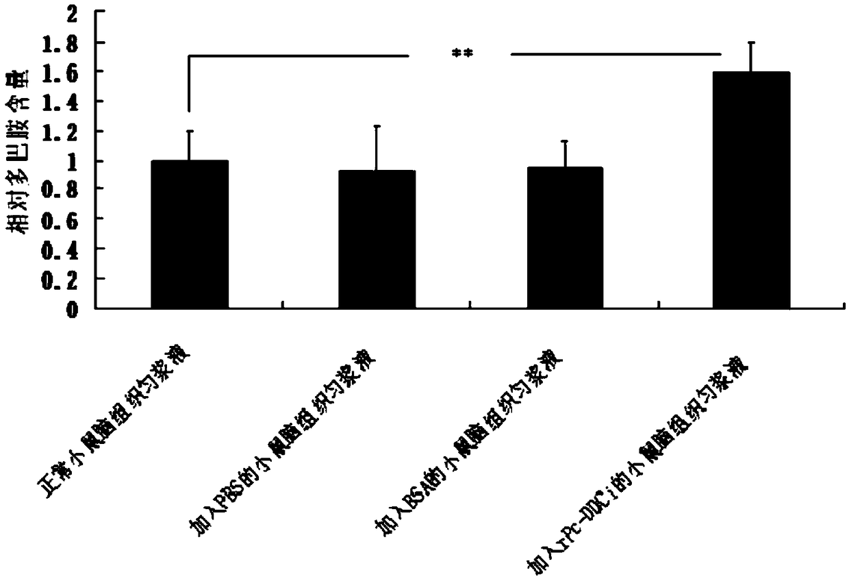 Dopamine decarboxylase homologue with strong catalytic activity as well as preparation and application thereof