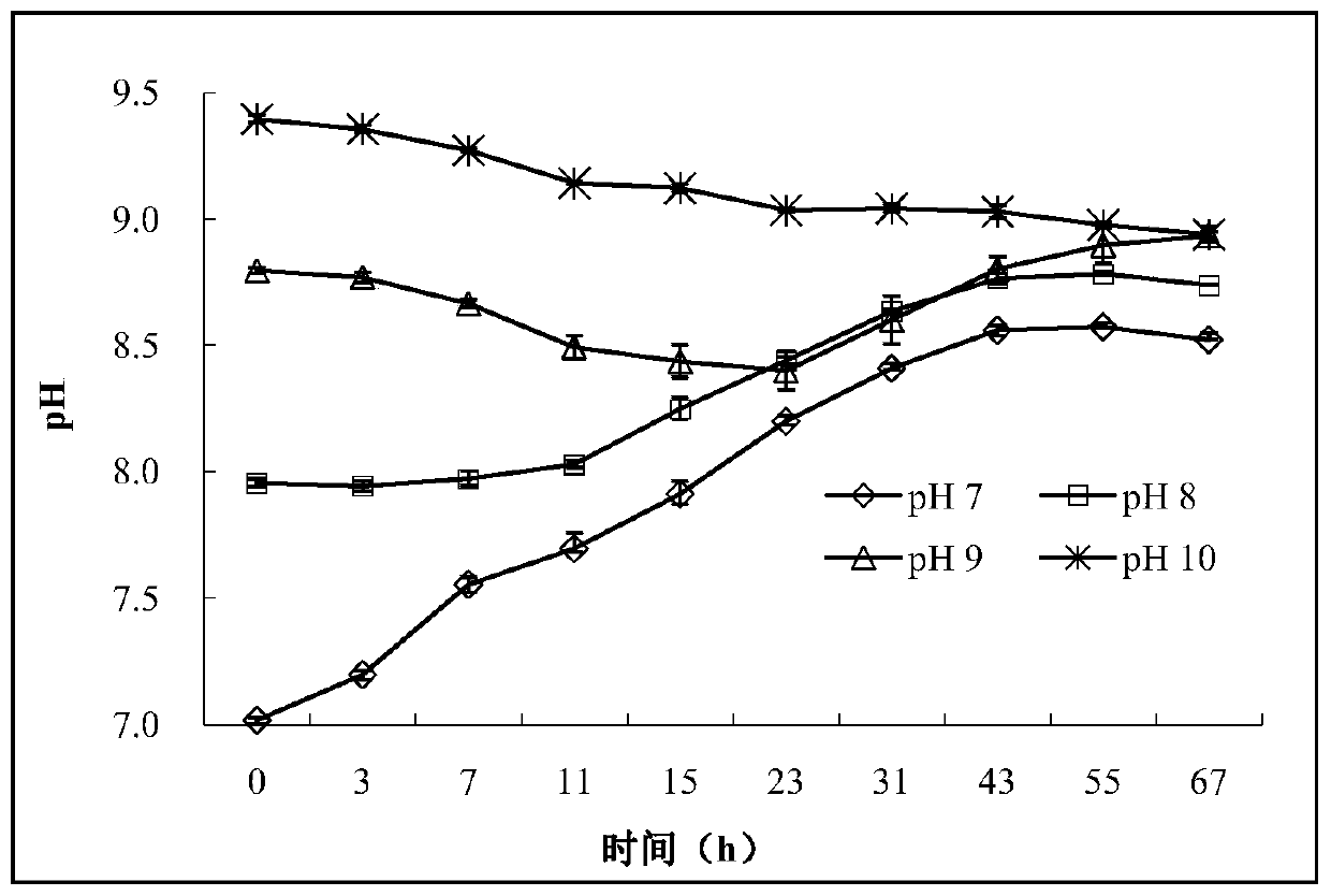 Application of Bacillus aryabhattai in preparation of acid soil conditioner