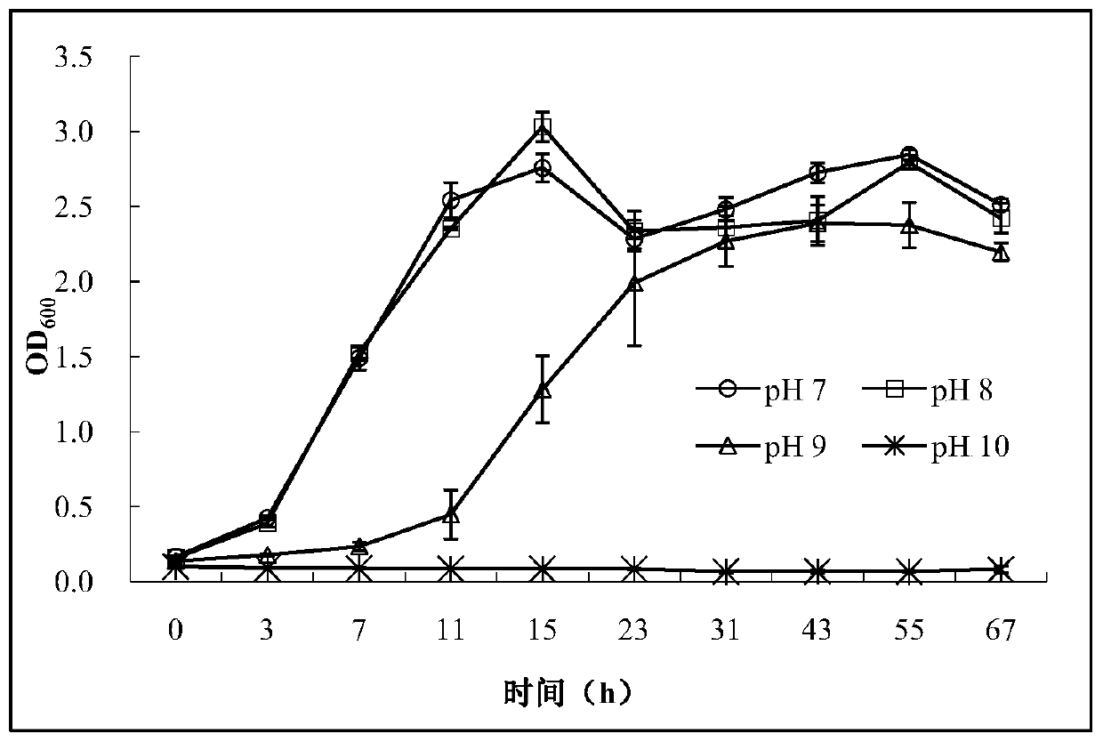 Application of Bacillus aryabhattai in preparation of acid soil conditioner