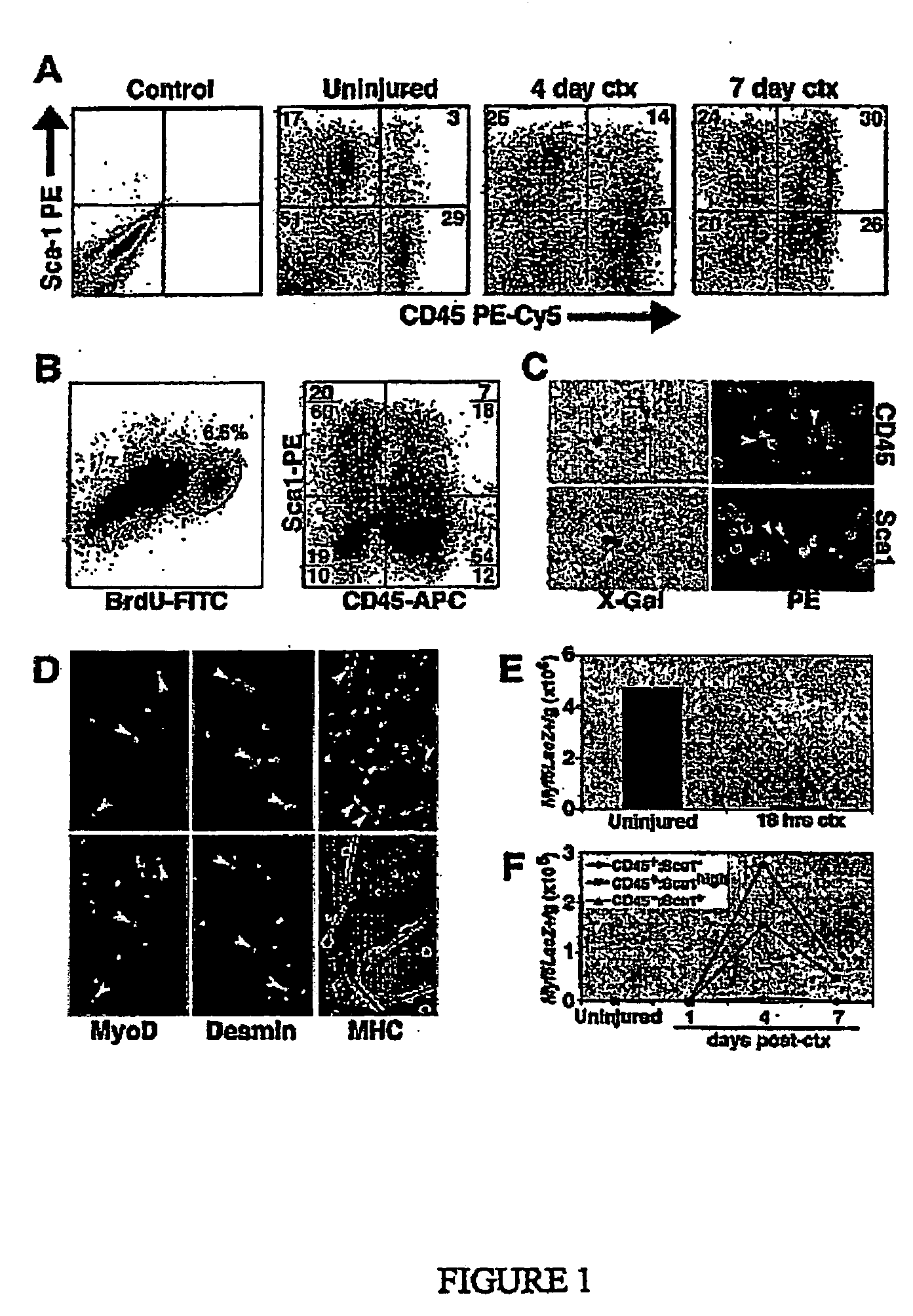 Methods and compositions for modulating stem cell growth and differentiation