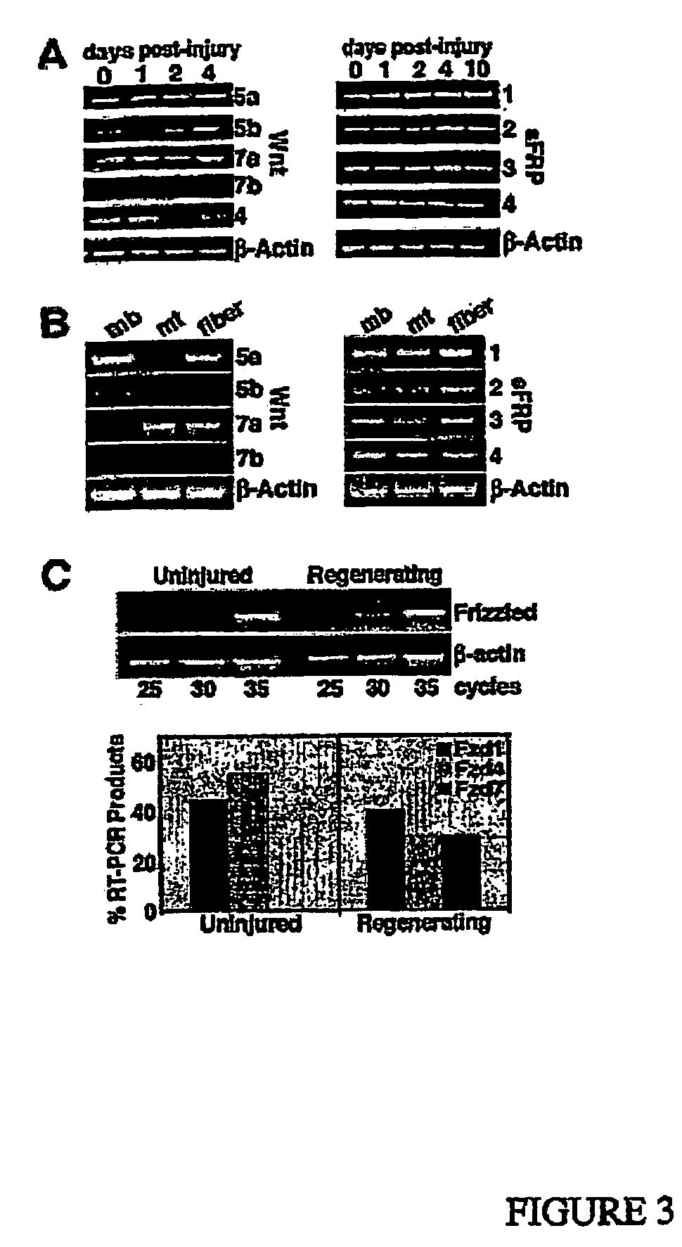 Methods and compositions for modulating stem cell growth and differentiation