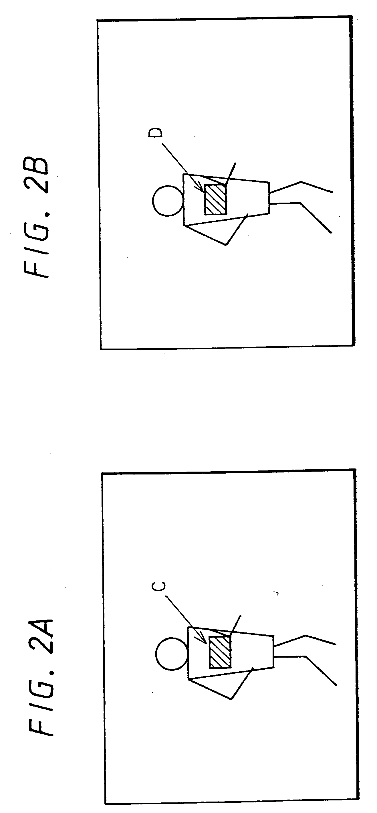 Apparatus and method for executing a game program having advertisements therein