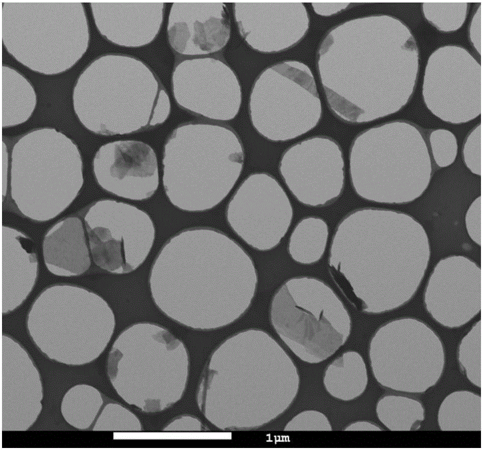 Method for preparing hexagonal boron nitride nanometer layer sheet