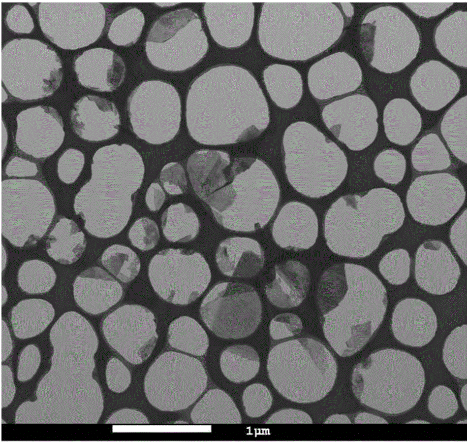Method for preparing hexagonal boron nitride nanometer layer sheet
