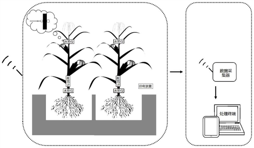 Plant irrigation decision-making system and method